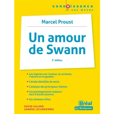 Image de Un amour de Swann, Marcel Proust