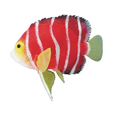 Afbeelding van Nobby Angelfish Oranje Glow In The Dark 11 x 9,5 cm
