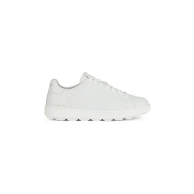 Afbeelding van Geox U Spherica ECUB Sneakers laag, Heren, Maat: 45, White Leer