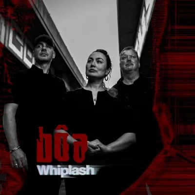 Afbeelding van Boa Whiplash (LP)
