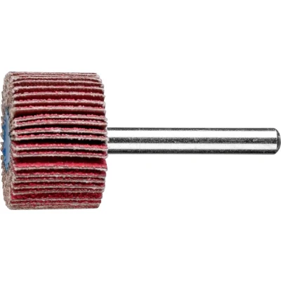 Afbeelding van PFERD 47802246 Lamellenschijf Diameter 30 mm 10 stuk(s)