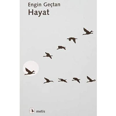 Afbeelding van Hayat