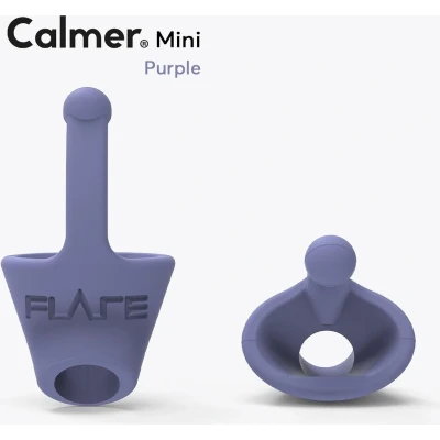 Afbeelding van CALMER® mini Paars Een klein oordopje dat stress vermindert verhoogt geluidskwaliteit Flare Audio