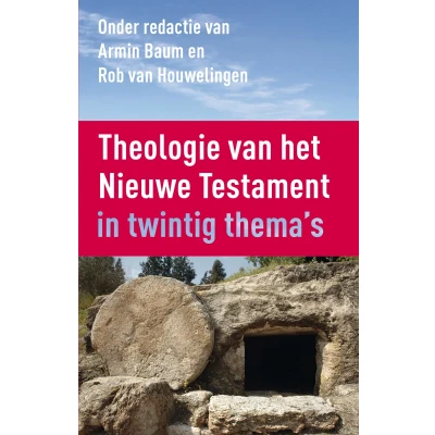 Afbeelding van Theologie van het Nieuwe Testament