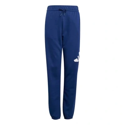 Afbeelding van adidas ESSENTIALS BIG LOGO PANTS Trainingsbroek, uniseks, kinderen