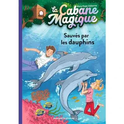 Image de La cabane magique, Tome 12