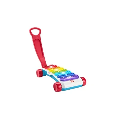 Afbeelding van Fisher Price Gigantische xylofoon, meertalige editie, aantrekbaar muzikaal elektronisch speelgoed met educatieve liedjes, cadeau voor kinderen van 9 36 maanden, HJK38