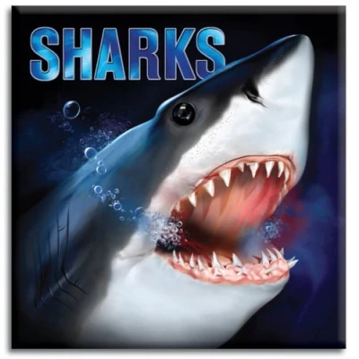 Afbeelding van Sharks