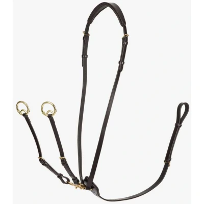 Afbeelding van LeMieux Martingaal Kudos Running Bruin/Brass Pony
