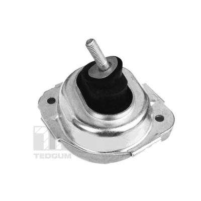 Afbeelding van TEDGUM 00088531 Aslichaam / motorsteunlager Rechts voor Hydrolager