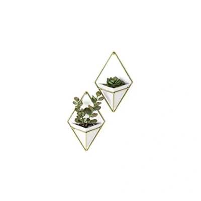 Afbeelding van Umbra Trigg Wandelement 19 Cm Set Van 2 Goud