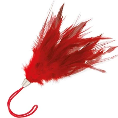 Afbeelding van Darkness SENSATIONS Red Feather 17cm Bondage BDSM Fetish Sex Toy for Couples Games