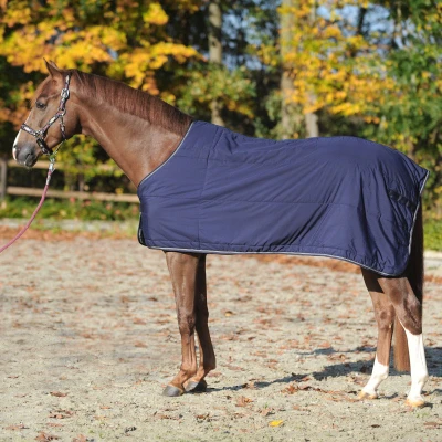 Image de Kavalkade Sous Couverture 50g Marin 135/185