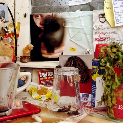 Afbeelding van The Wants Bastard (LP) (Coloured Vinyl)