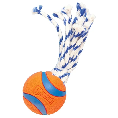 Afbeelding van Chuckit! Ultra Toss Hondenspeelgoed Apporteerspeelgoed Hondenbal Small Ø5 cm Oranje/Blauw