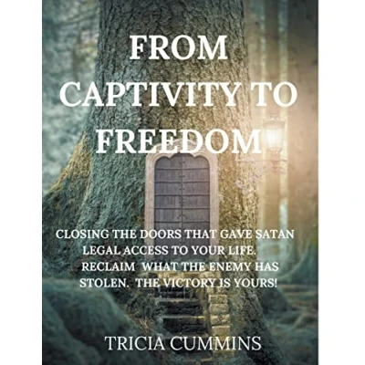 Afbeelding van From Captivity to Freedom