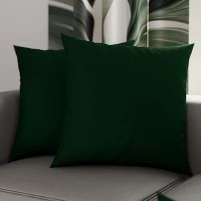 Afbeelding van PETTI Artigiani Italiani 1 paar kussenslopen 35 x cm, microvezel, bekleding, bank, 2 kussenslopen, effen groen, 100% Made in Italy