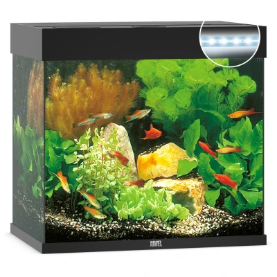 Afbeelding van Juwel Aquarium Lido 120 Led 61x41x58 cm Aquaria Zwart Ca. L