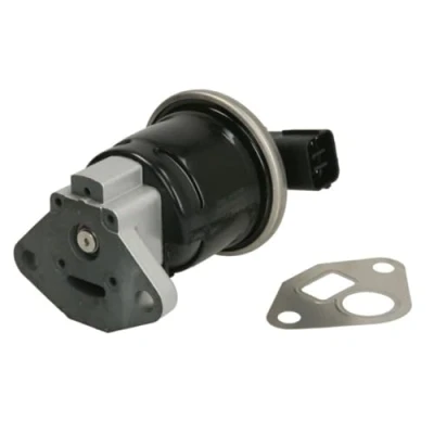 Afbeelding van DELPHI EG10519 12B1 EGR klep Zonder AGR koeler