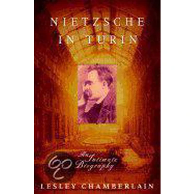 Afbeelding van Nietzsche in Turin
