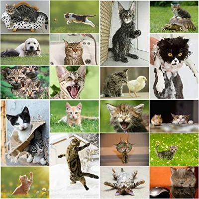 Afbeelding van Set van 20 grappige ansichtkaarten met grappige, schattige, gemene en katten (20 verschillende motieven) voor verzamelaars postcrossing door Edition Colibri.