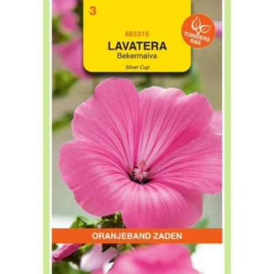 Afbeelding van Lavatera bekermalva silver cup