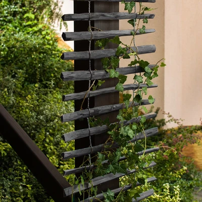 Afbeelding van Plantenladder zwart 100 cm x 200