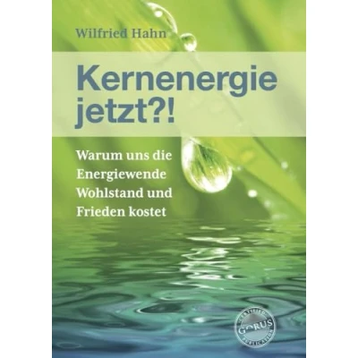 Afbeelding van Kernenergie jetzt?!