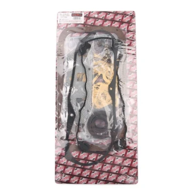 Afbeelding van ASHIKA 49 08 803 Complete pakkingsset, motor