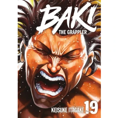 Image de Baki the Grappler Tome 19 Perfect Edition