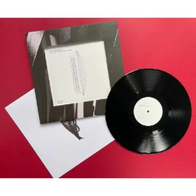 Afbeelding van Into It. Over Interesting Decisions (LP)