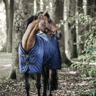 Afbeelding van Kentucky Staldeken 0g Navy 160/213