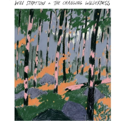 Afbeelding van Will Stratton The Changing Wilderness (CD)