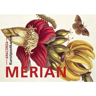 Afbeelding van Postkarten Set Maria Sibylla Merian