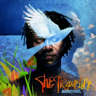 Afbeelding van The Traveller