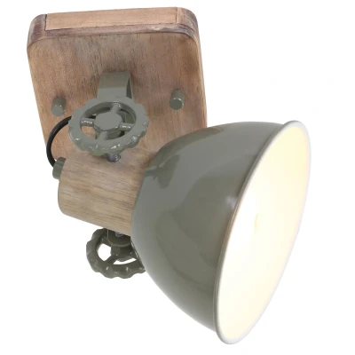 Afbeelding van Mexlite Plafondlamp Gearwood 7968G Groen