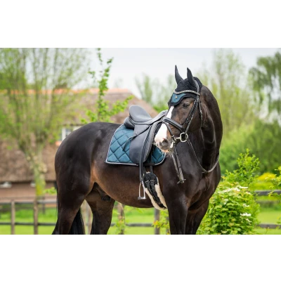 Image de HB Tapis de Selle Dressage Showtime Vert