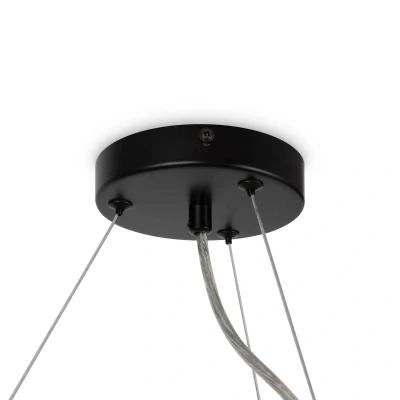 Afbeelding van Hanglamp Maytoni Dallas 25 lichts, rond, zwart