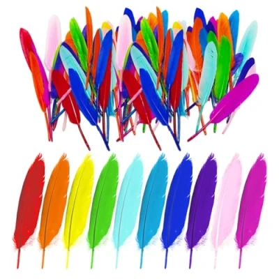 Afbeelding van GTYHH 100 stuks kleurrijke veren, veren om te knutselen, decoratieve materialen, kunnen worden gebruikt voor het maken van hoofddeksels, hangers, oorbellen enz.