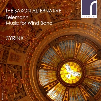 Afbeelding van Syrinx The Saxon Alternative (CD)