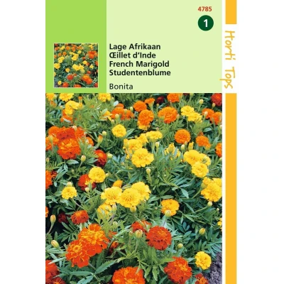 Afbeelding van 2 stuks Tagetes patula nana Bonita dubbelbl. gemengd