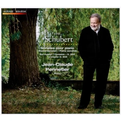 Afbeelding van Jean Claude Pennetier Sonates Pour Piano (2 CD)