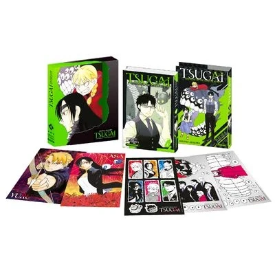 Image de Tsugai Daemons of the Shadow Realm Tome 4 collector