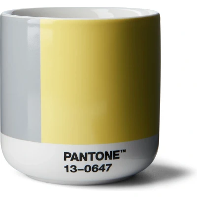 Afbeelding van Copenhagen Design Cortado Beker Dubbelwandig 170 ml Illuminating 13 0647 &amp; Ultimategray 17 5104