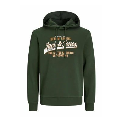 Afbeelding van JACK&amp;JONES PLUS JJELOGO SWEAT HOOD 2 COL 24/25 NOOS PLS Heren Trui Maat EU2XL US1L