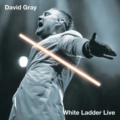 Afbeelding van White Ladder Live
