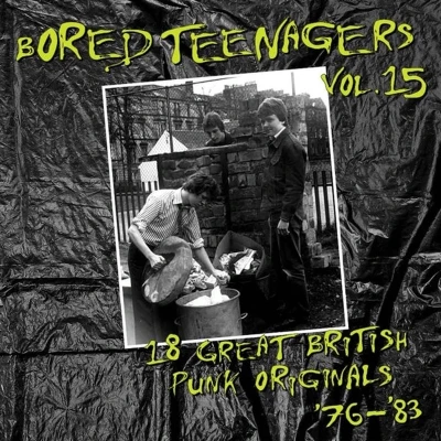 Afbeelding van Various Artists Bored Teenagers Vol. 15 (LP)