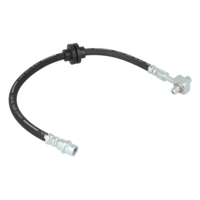 Afbeelding van DELPHI LH7019 Remslang 445 Banjo
