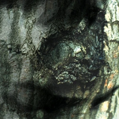 Afbeelding van Yann Tiersen La Valse Des Monstres (CD) (Reissue)