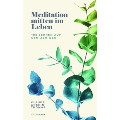 Afbeelding van Meditation mitten im Leben: 108 Lehren auf dem Zen Weg